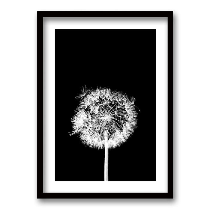 Cuadro Flor De Leon N