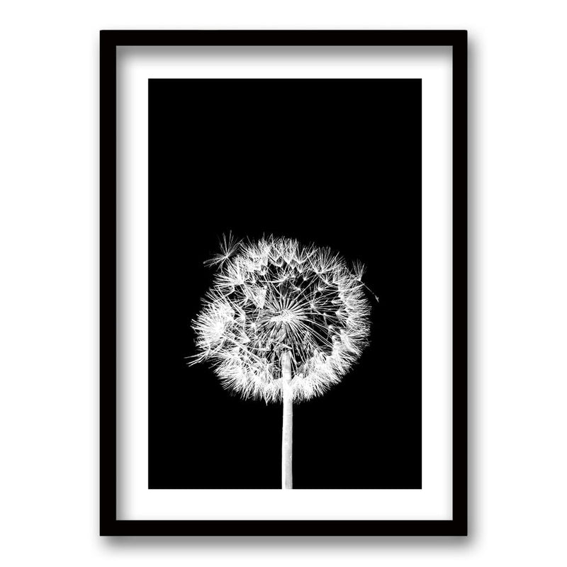Cuadro Flor De Leon N