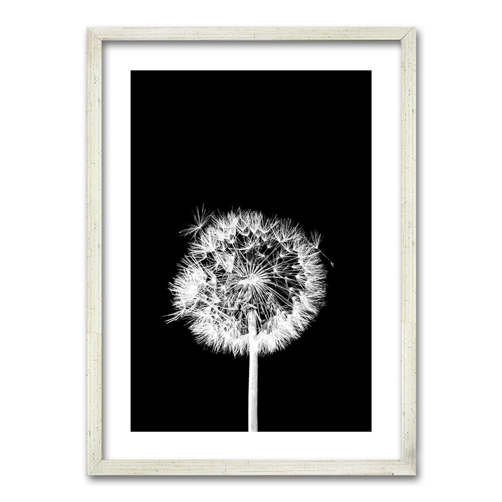 Cuadro Flor De Leon N