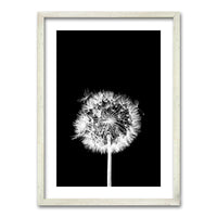 Cuadro Flor De Leon N