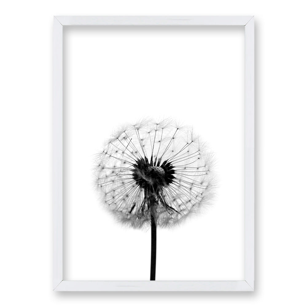 Cuadro Flor de Leon B