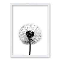 Cuadro Flor de Leon B