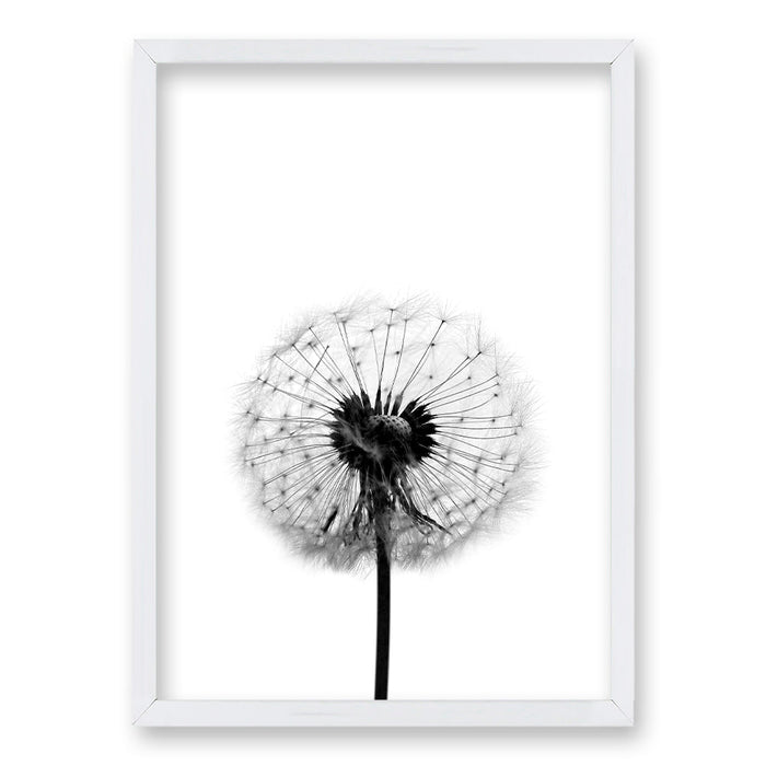 Cuadro Flor de Leon B
