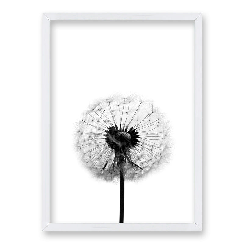 Cuadro Flor de Leon B