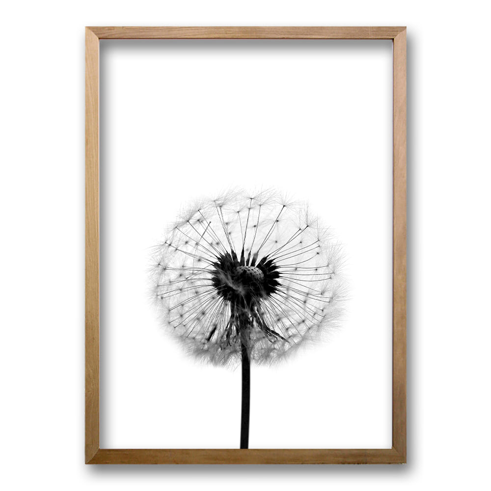 Cuadro Flor de Leon B