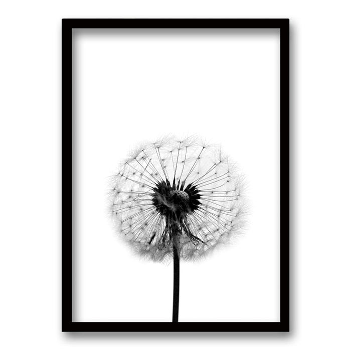Cuadro Flor de Leon B