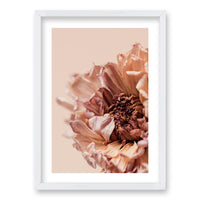 Cuadro Flor Seca