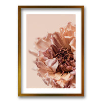 Cuadro Flor Seca