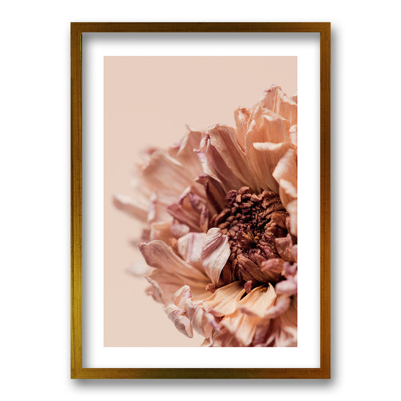 Cuadro Flor Seca