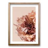 Cuadro Flor Seca