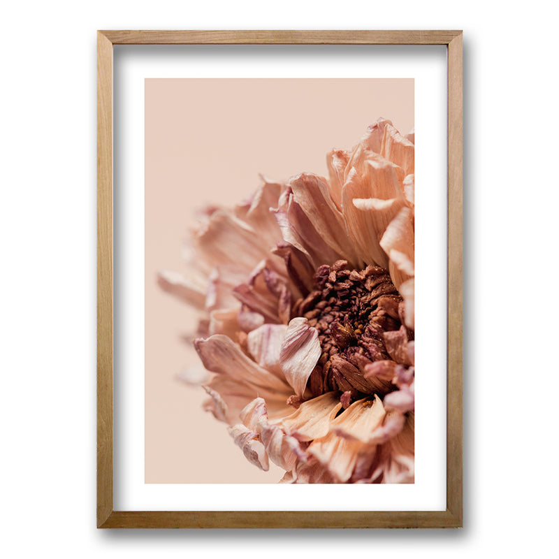Cuadro Flor Seca