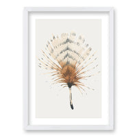 Cuadro Plume