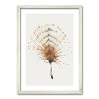 Cuadro Plume 1
