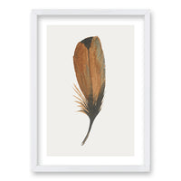 Cuadro Plume II