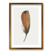 Cuadro Plume II