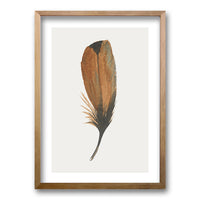 Cuadro Plume II