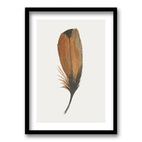 Cuadro Plume II