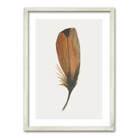 Cuadro Plume II