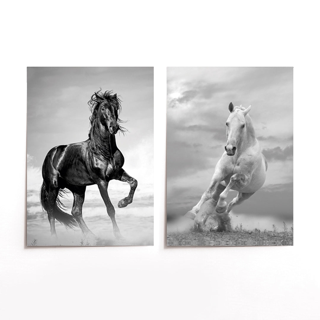 Cuadro Duo Caballos II