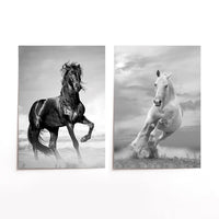 Cuadro Duo Caballos II