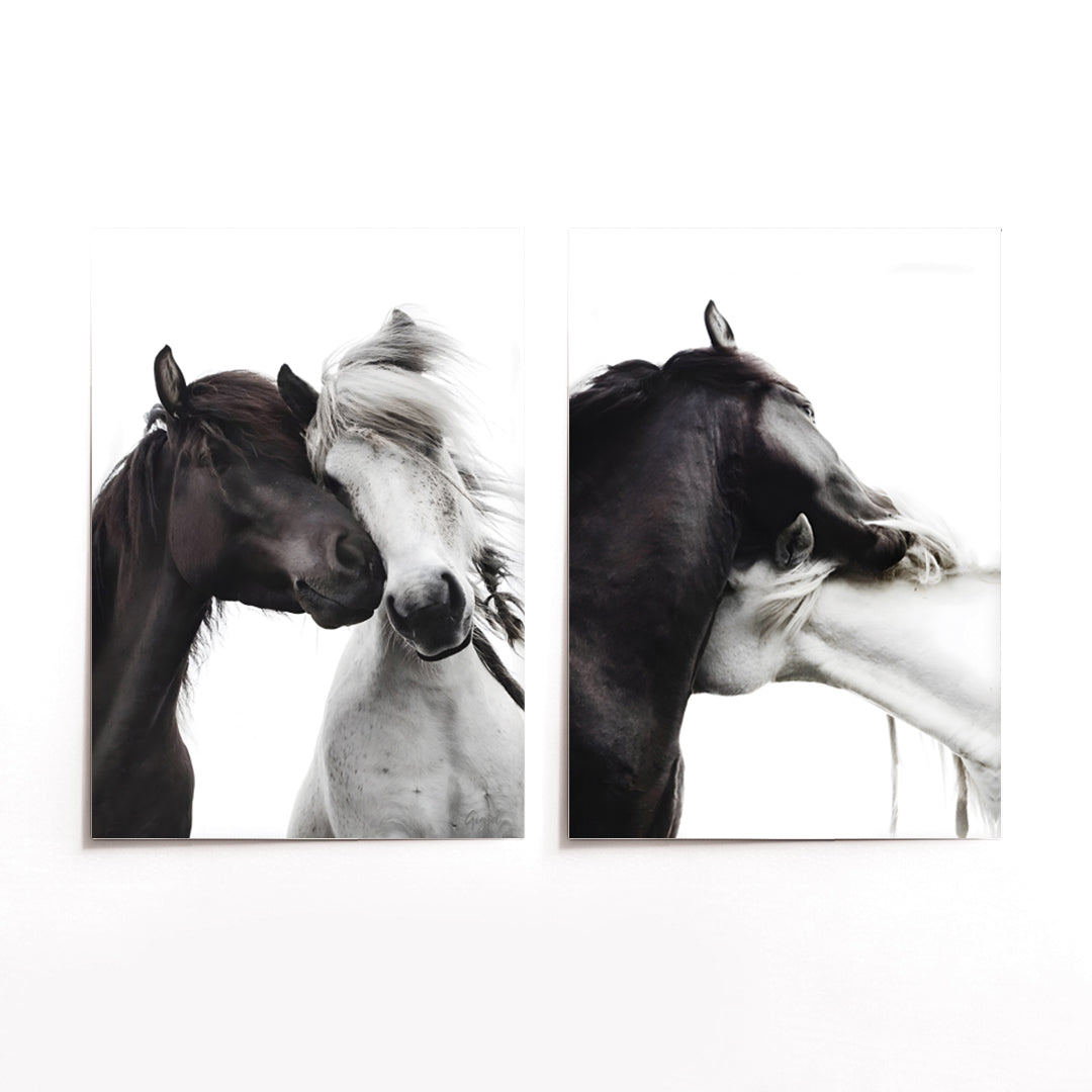 Cuadro Duo Caballos Love