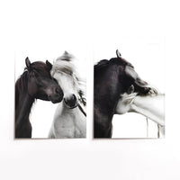 Cuadro Duo Caballos Love