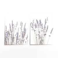 Cuadro Duo Jardín de Lavanda
