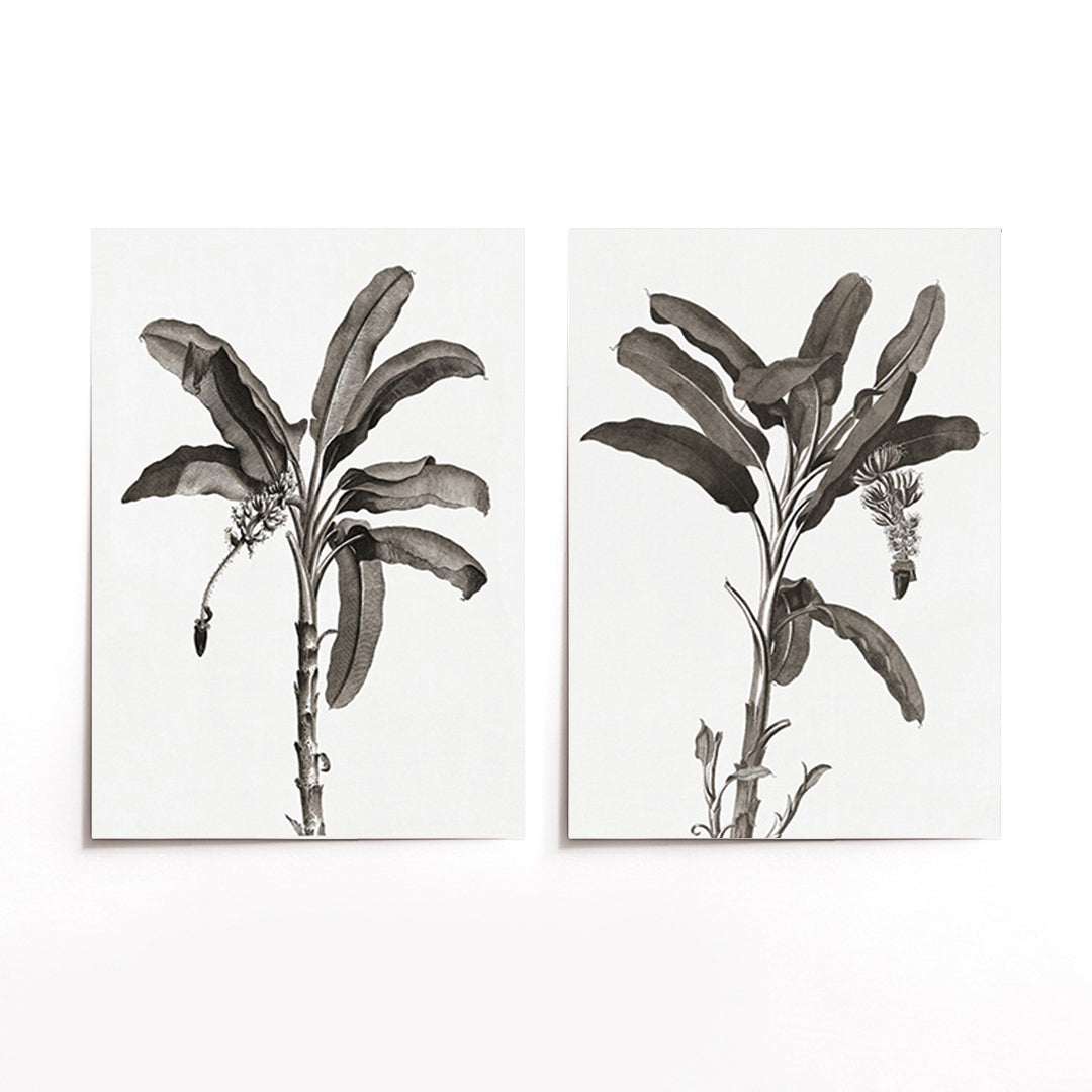 Cuadro Duo Palmeras