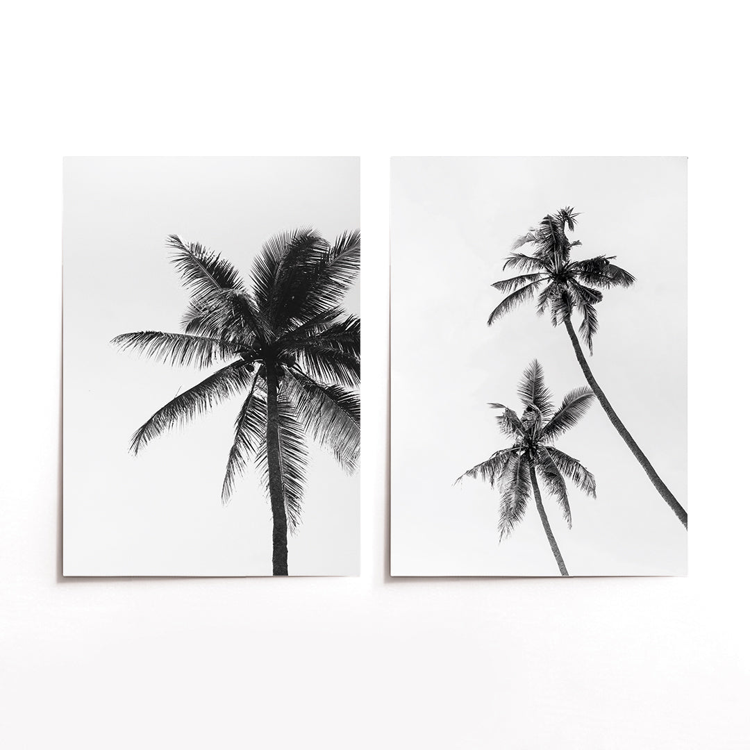 Cuadro Duo Palmeras Blanco y Negro