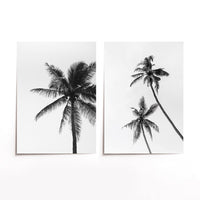 Cuadro Duo Palmeras Blanco y Negro