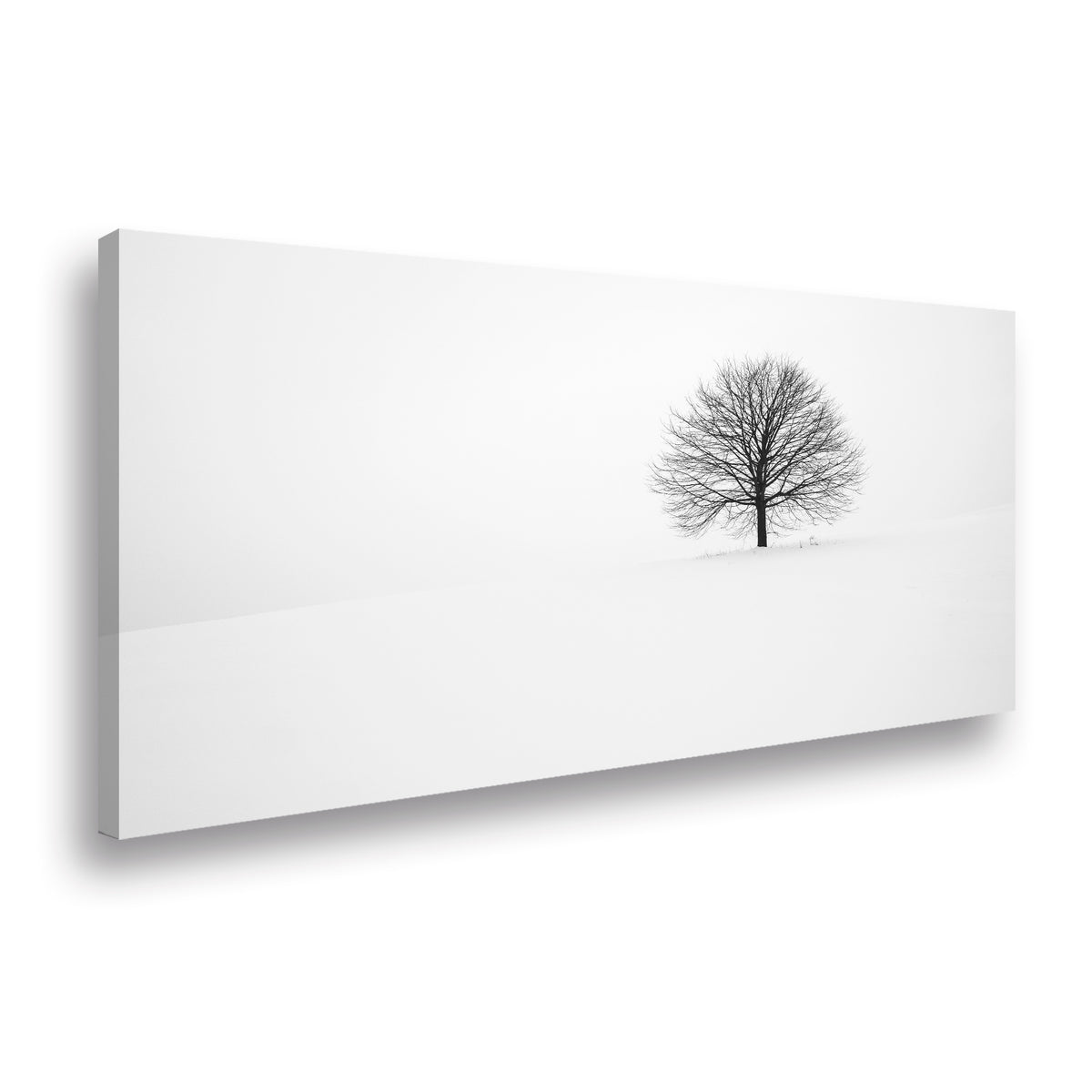 Canvas Lonely