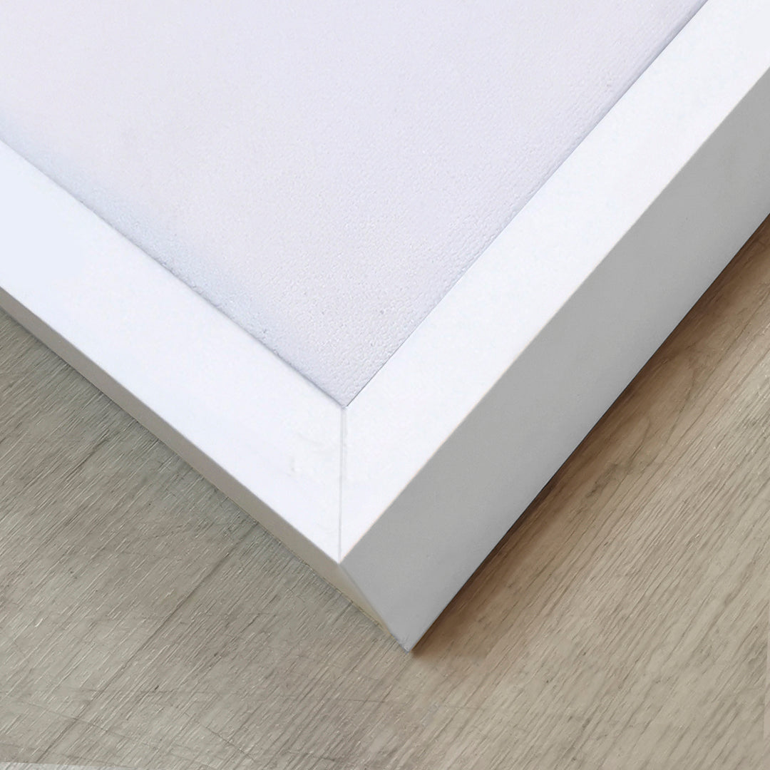 Canvas Modelo 708