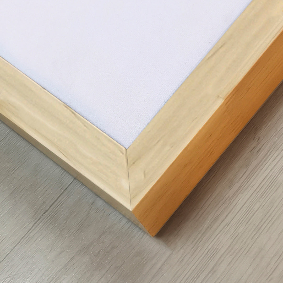 Canvas Modelo 708