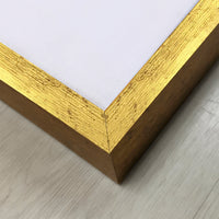 Canvas Modelo 708