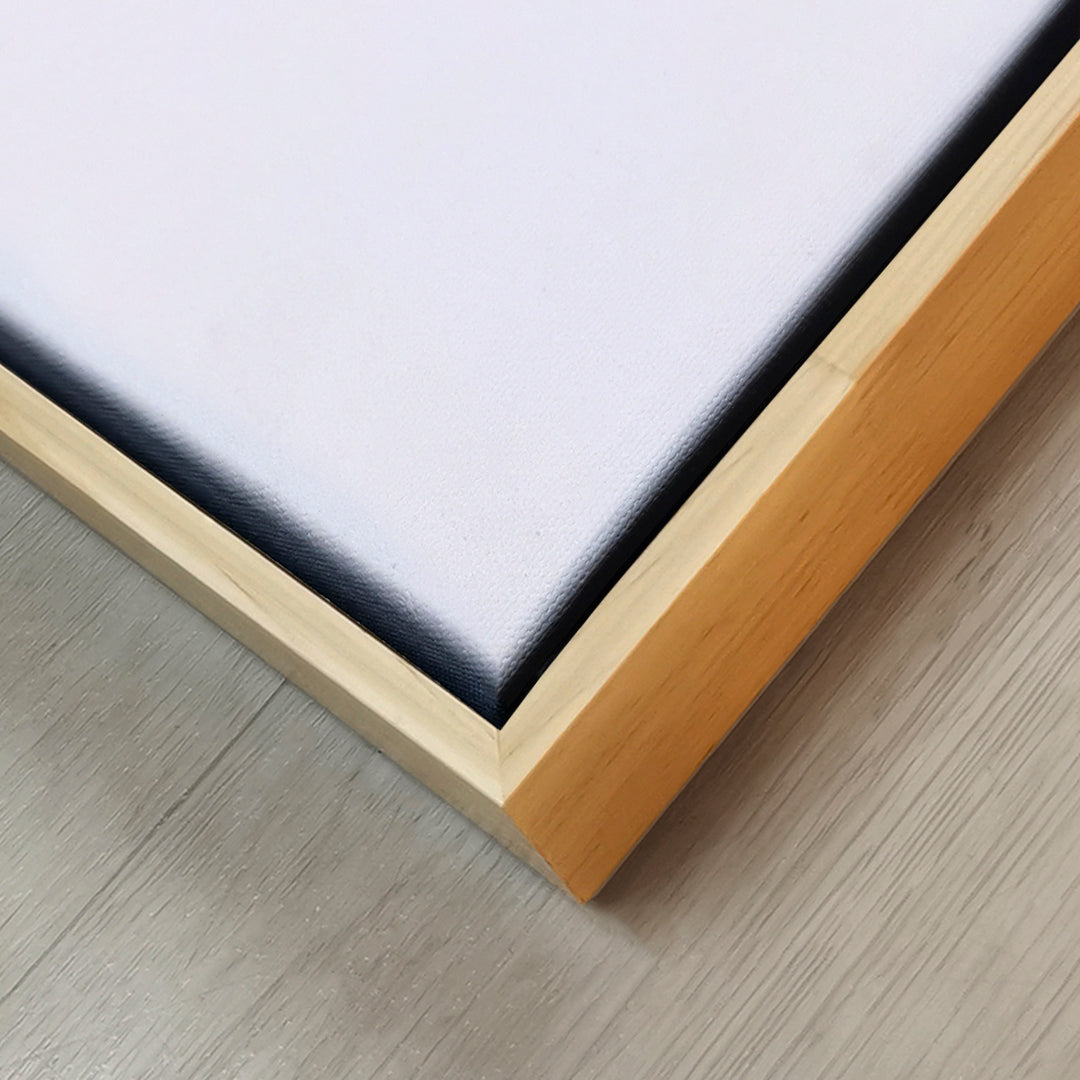 Canvas Modelo 708