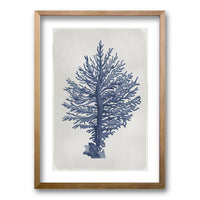 Cuadro Árbol de Coral II