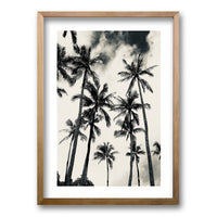 Cuadro Palmera Nocturna II