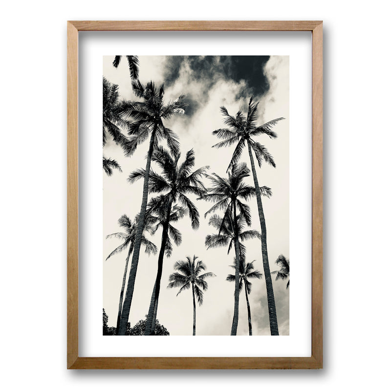 Cuadro Palmera Nocturna II