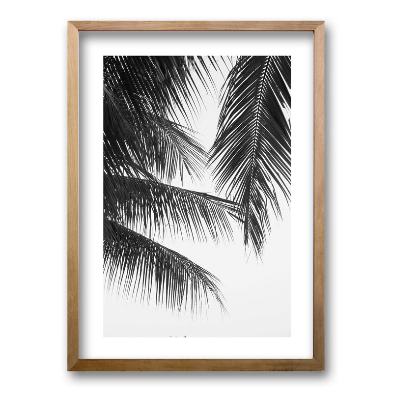 Cuadro Palmera Nocturna