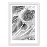 Cuadro Cipsela Viento