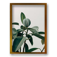 Cuadro Planta