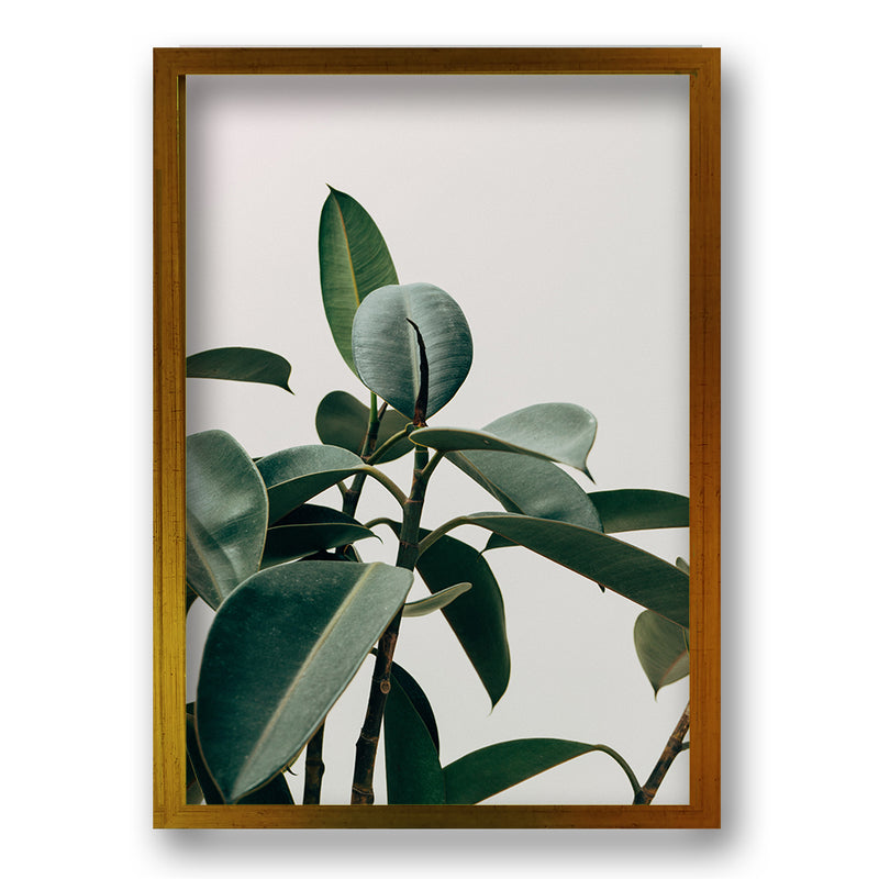 Cuadro Planta