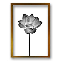 Cuadro Flor de Loto