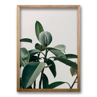 Cuadro Planta