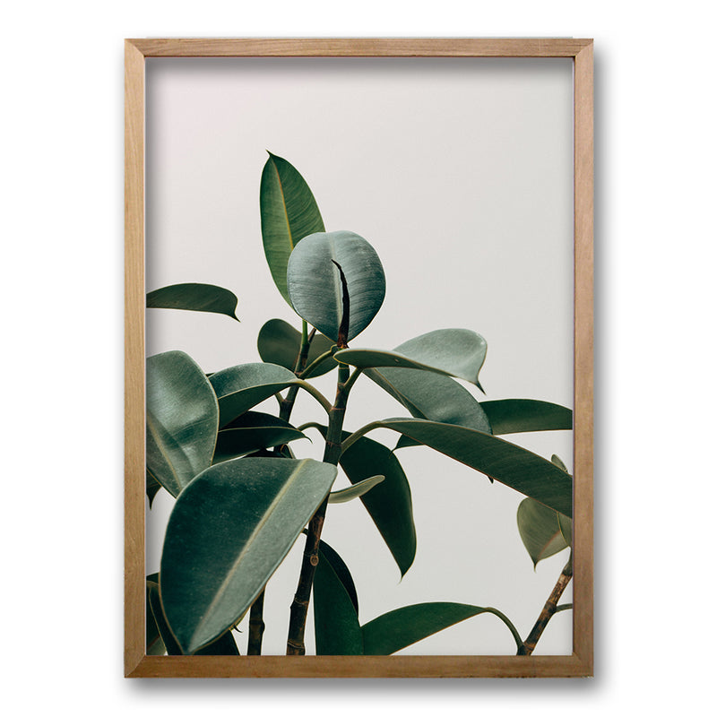 Cuadro Planta