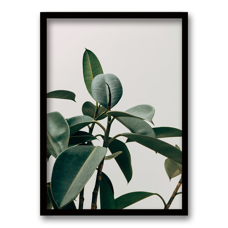 Cuadro Planta