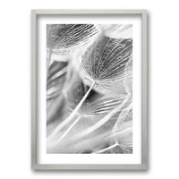 Cuadro Cipsela Viento