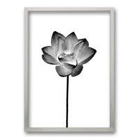Cuadro Flor de Loto