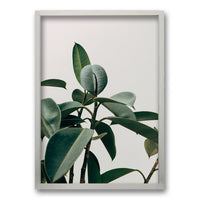 Cuadro Planta