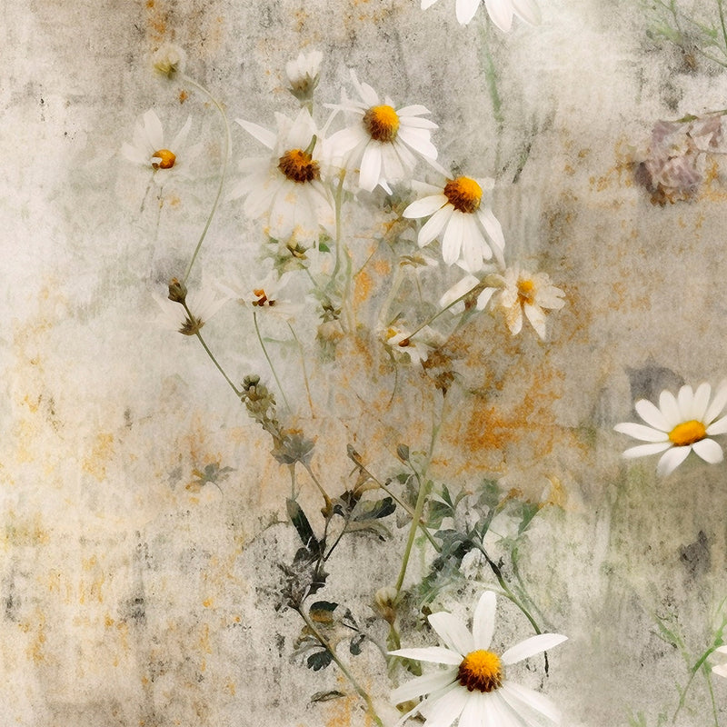 Papel Mural Daisy Marguerite